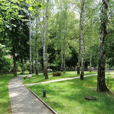 Penzion Harmony Javornik Ctyrkoly Zewnętrze zdjęcie