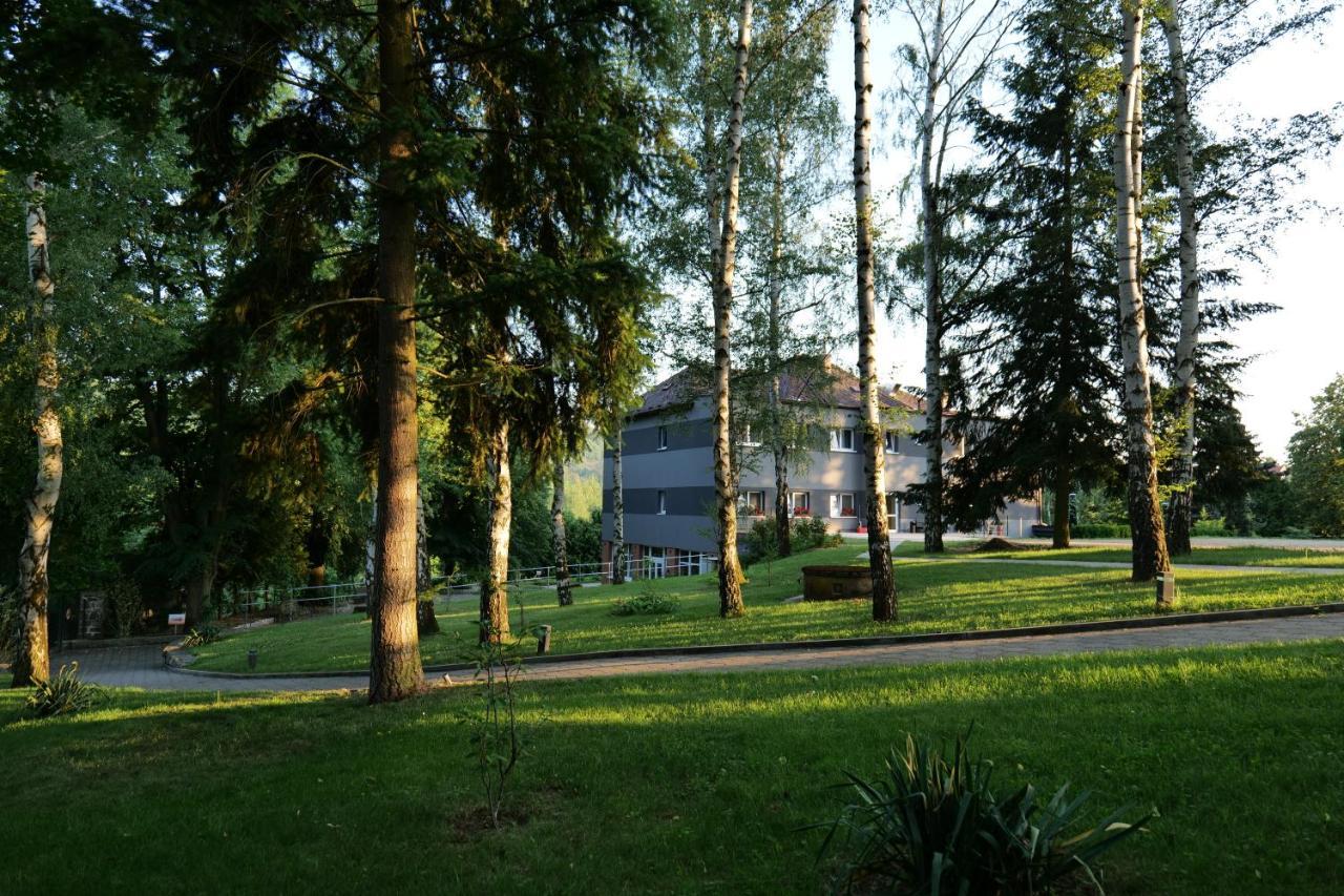 Penzion Harmony Javornik Ctyrkoly Zewnętrze zdjęcie